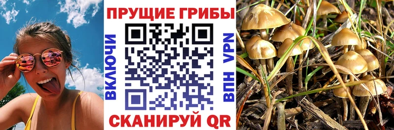 Галлюциногенные грибы Magic Shrooms  наркошоп  Углич 