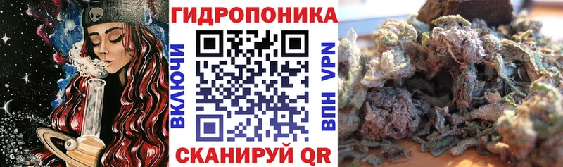 МАРИХУАНА план Углич